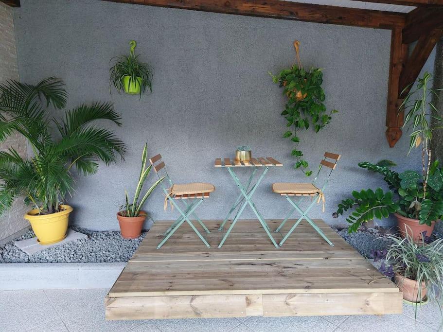 La Perle D'Alice Apartment Deshaies Ngoại thất bức ảnh